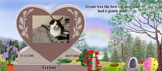 Grant's Rainbow Bridge Pet Loss Memorial Residency Image