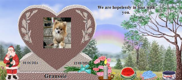 Graussie's Rainbow Bridge Pet Loss Memorial Residency Image