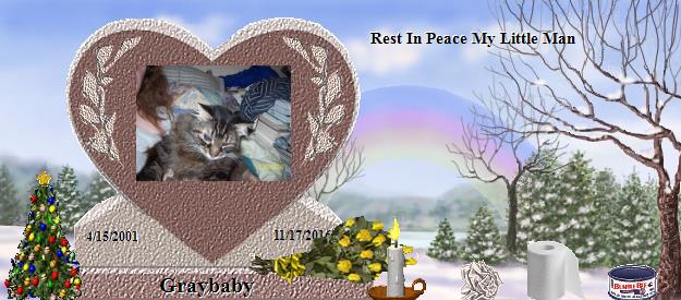 Graybaby's Rainbow Bridge Pet Loss Memorial Residency Image