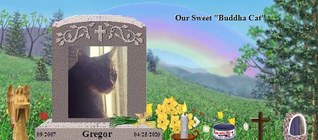 Gregor's Rainbow Bridge Pet Loss Memorial Residency Image
