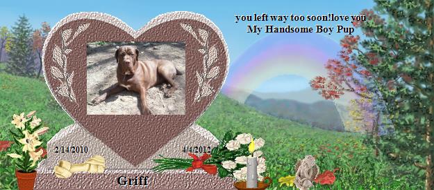 Griff's Rainbow Bridge Pet Loss Memorial Residency Image