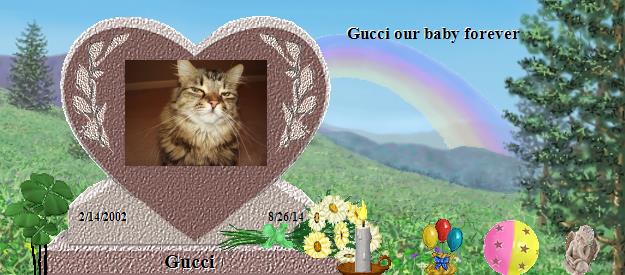 Gucci's Rainbow Bridge Pet Loss Memorial Residency Image