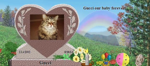 Gucci's Rainbow Bridge Pet Loss Memorial Residency Image