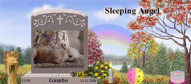 Gumbo's Rainbow Bridge Pet Loss Memorial Residency Image