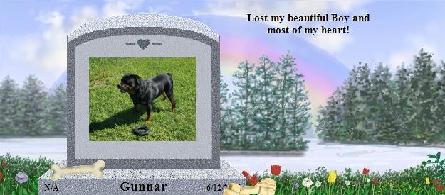 Gunnar's Rainbow Bridge Pet Loss Memorial Residency Image