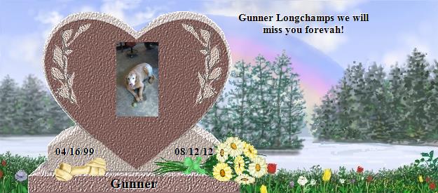 Gunner's Rainbow Bridge Pet Loss Memorial Residency Image