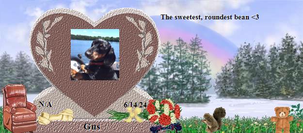 Gus's Rainbow Bridge Pet Loss Memorial Residency Image