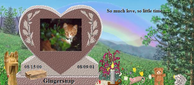 Gingersnap's Rainbow Bridge Pet Loss Memorial Residency Image