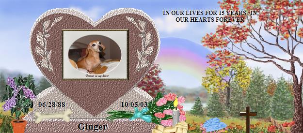 Ginger's Rainbow Bridge Pet Loss Memorial Residency Image