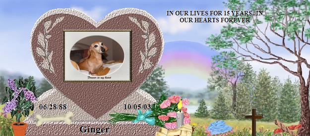 Ginger's Rainbow Bridge Pet Loss Memorial Residency Image
