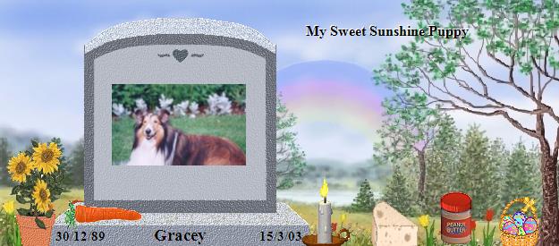 Gracey's Rainbow Bridge Pet Loss Memorial Residency Image