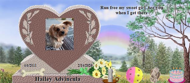 Hailey Advincula's Rainbow Bridge Pet Loss Memorial Residency Image