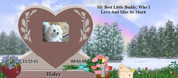 Haley's Rainbow Bridge Pet Loss Memorial Residency Image