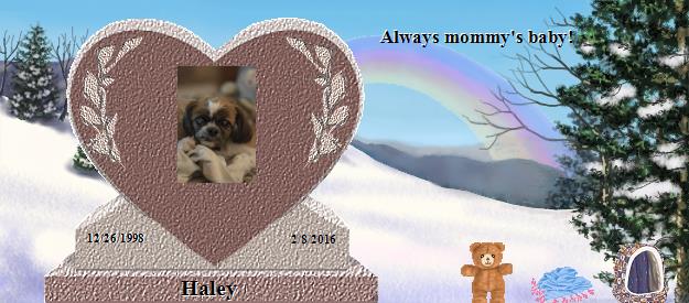Haley's Rainbow Bridge Pet Loss Memorial Residency Image