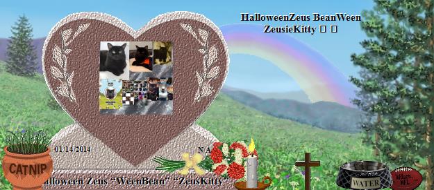 Halloween Zeus &ldquo;WeenBean&rdquo; &ldquo;ZeusKitty&rdquo;'s Rainbow Bridge Pet Loss Memorial Residency Image