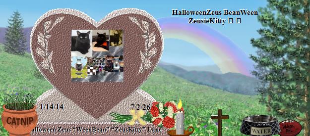 Halloween Zeus &ldquo;WeenBean&rdquo; &ldquo;ZeusKitty&rdquo; Lane's Rainbow Bridge Pet Loss Memorial Residency Image