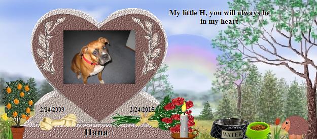 Hana's Rainbow Bridge Pet Loss Memorial Residency Image