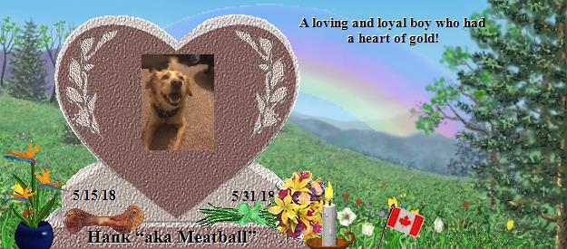 Hank “aka Meatball”'s Rainbow Bridge Pet Loss Memorial Residency Image