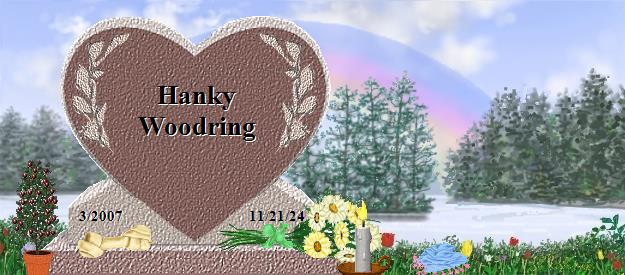 Hanky Woodring's Rainbow Bridge Pet Loss Memorial Residency Image