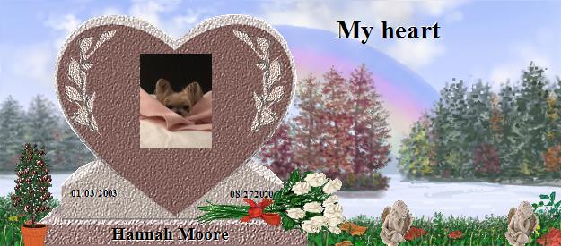 Hannah Moore's Rainbow Bridge Pet Loss Memorial Residency Image
