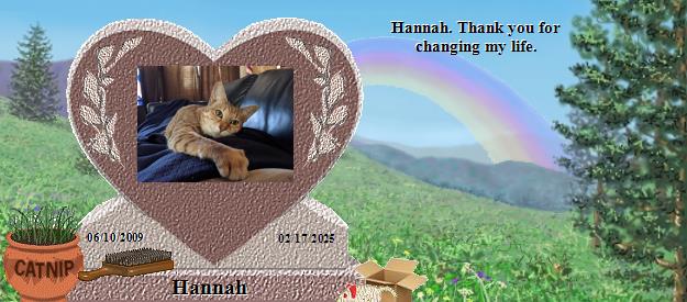 Hannah's Rainbow Bridge Pet Loss Memorial Residency Image