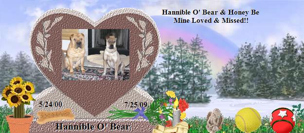 Hannible O' Bear's Rainbow Bridge Pet Loss Memorial Residency Image