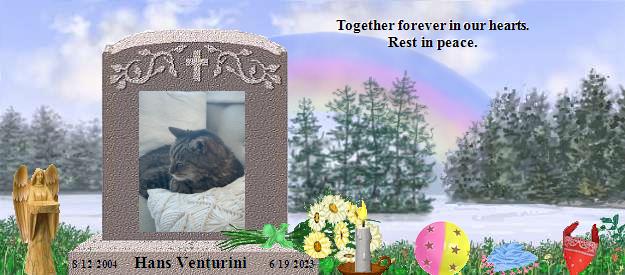 Hans Venturini's Rainbow Bridge Pet Loss Memorial Residency Image