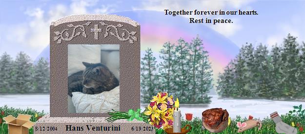 Hans Venturini's Rainbow Bridge Pet Loss Memorial Residency Image