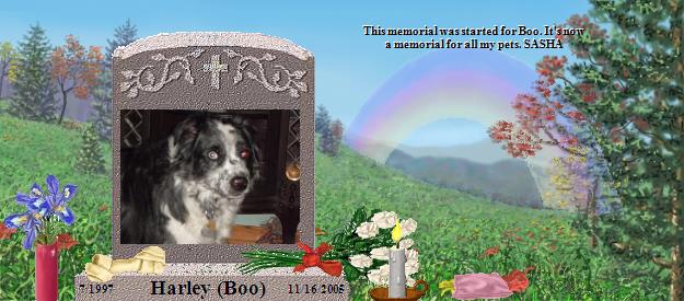 Harley (Boo)'s Rainbow Bridge Pet Loss Memorial Residency Image