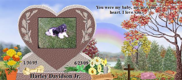 Harley Davidson Jr.'s Rainbow Bridge Pet Loss Memorial Residency Image