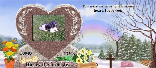 Harley Davidson Jr.'s Rainbow Bridge Pet Loss Memorial Residency Image