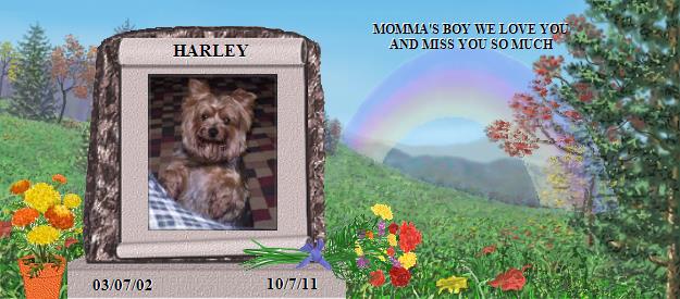 HARLEY's Rainbow Bridge Pet Loss Memorial Residency Image