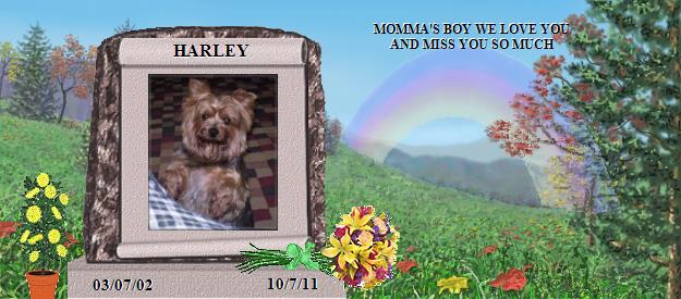 HARLEY's Rainbow Bridge Pet Loss Memorial Residency Image