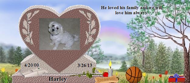 Harley's Rainbow Bridge Pet Loss Memorial Residency Image