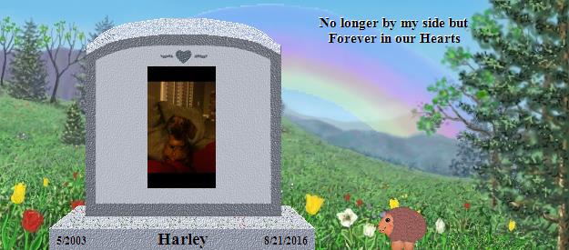 Harley's Rainbow Bridge Pet Loss Memorial Residency Image