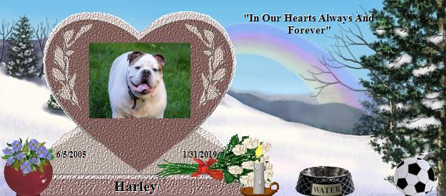 Harley's Rainbow Bridge Pet Loss Memorial Residency Image