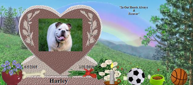 Harley's Rainbow Bridge Pet Loss Memorial Residency Image