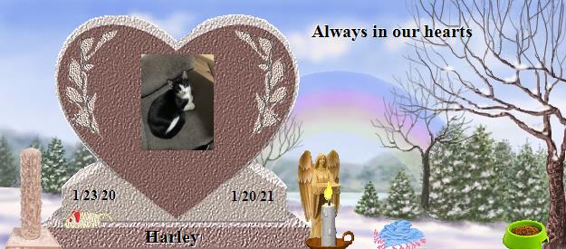 Harley's Rainbow Bridge Pet Loss Memorial Residency Image