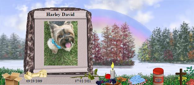 Harley David's Rainbow Bridge Pet Loss Memorial Residency Image