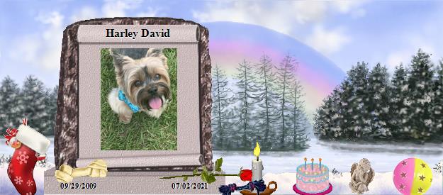 Harley David's Rainbow Bridge Pet Loss Memorial Residency Image