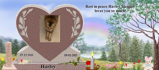 Harley's Rainbow Bridge Pet Loss Memorial Residency Image