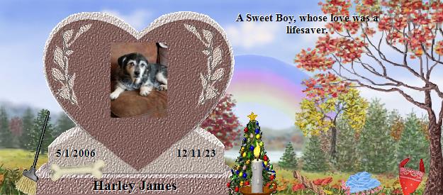 Harley James's Rainbow Bridge Pet Loss Memorial Residency Image