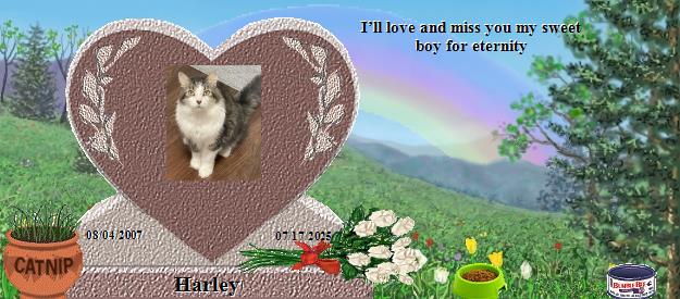 Harley's Rainbow Bridge Pet Loss Memorial Residency Image