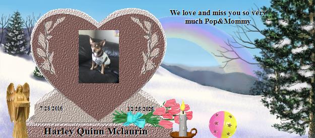 Harley Quinn Mclaurin's Rainbow Bridge Pet Loss Memorial Residency Image
