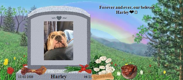 Harley's Rainbow Bridge Pet Loss Memorial Residency Image
