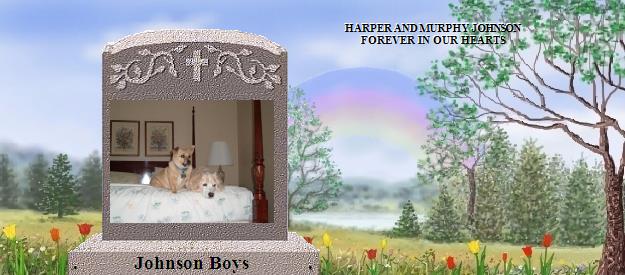 Johnson Boys's Rainbow Bridge Pet Loss Memorial Residency Image