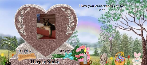 Harper Ninke's Rainbow Bridge Pet Loss Memorial Residency Image