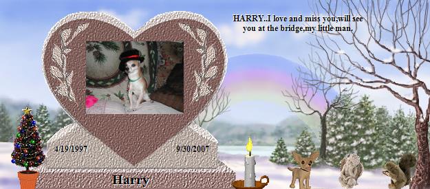 Harry's Rainbow Bridge Pet Loss Memorial Residency Image