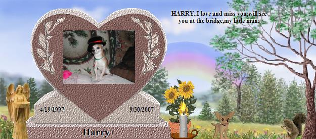 Harry's Rainbow Bridge Pet Loss Memorial Residency Image