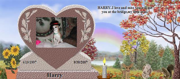 Harry's Rainbow Bridge Pet Loss Memorial Residency Image